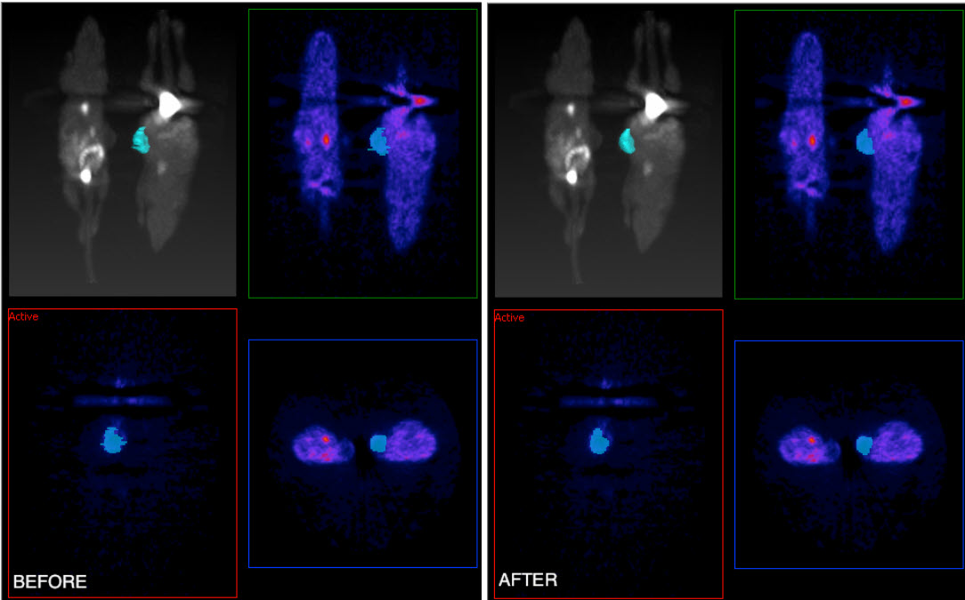 Before/After Low Pass Smoothing