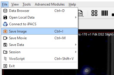 File Menu