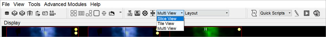 Viewing Modes