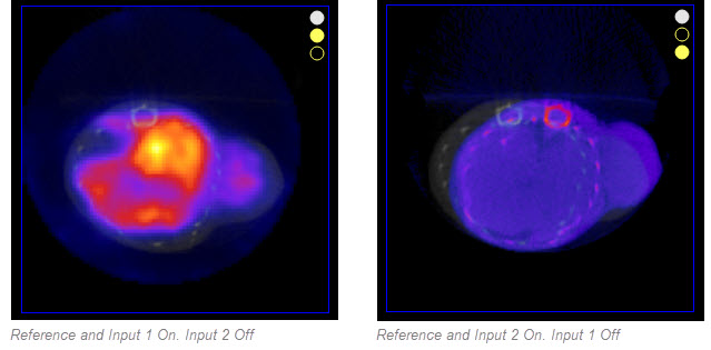 Active and Inactive Images