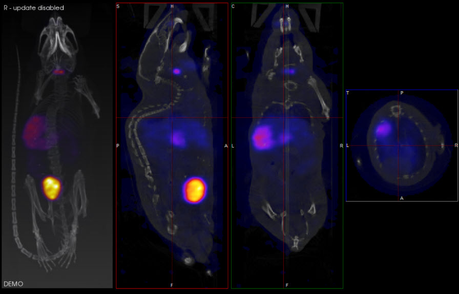 Scrolling Slices Example