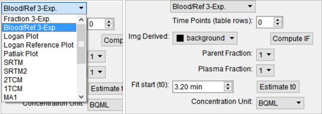 Arterial Input Function