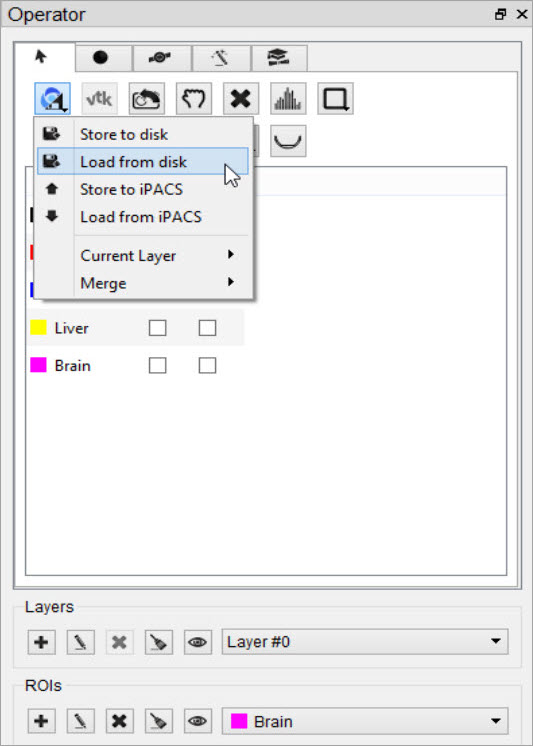 Load ROI from Disk