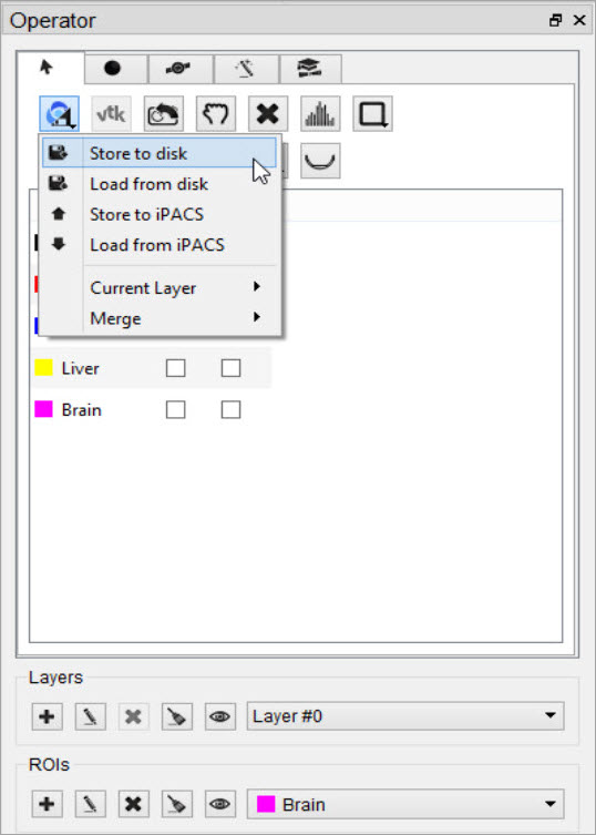Save ROI to Disk