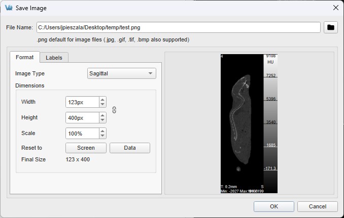 Save Image Format