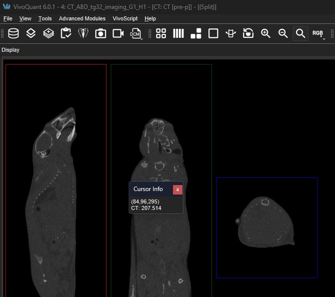 Persistent Cursor Info