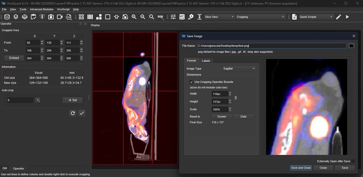 Sub Region Image Saving